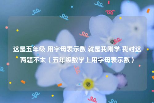 这是五年级 用字母表示数 就是我刚学 我对这两题不太(五年级数学上用字母表示数)