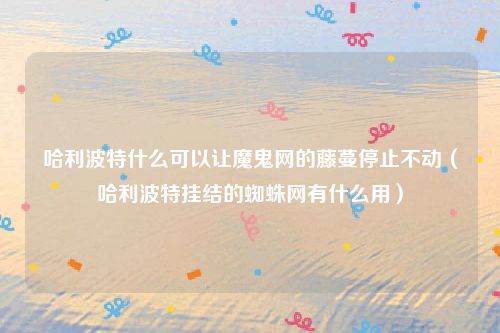 哈利波特什么可以让魔鬼网的藤蔓停止不动(哈利波特挂结的蜘蛛网有什么用)