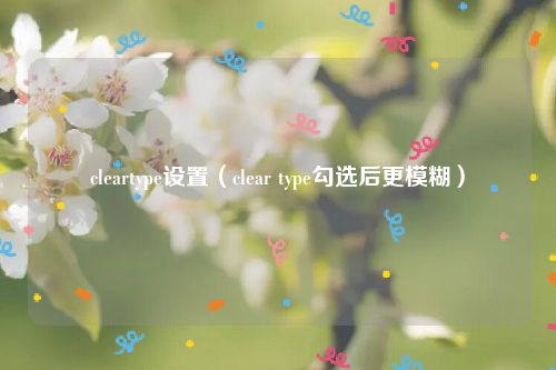 cleartype设置(clear type勾选后更模糊)