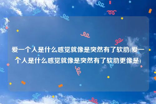 爱一个人是什么感觉就像是突然有了软肋(爱一个人是什么感觉就像是突然有了软肋更像是)