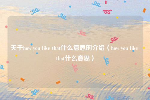 关于how you like that什么意思的介绍(how you like that什么意思)