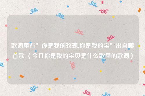 歌词里有”你是我的玫瑰,你是我的宝”出自哪首歌:（今日你是我的宝贝是什么歌里的歌词）