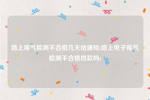 路上尾气检测不合格几天给通知(路上电子尾气检测不合格罚款吗)