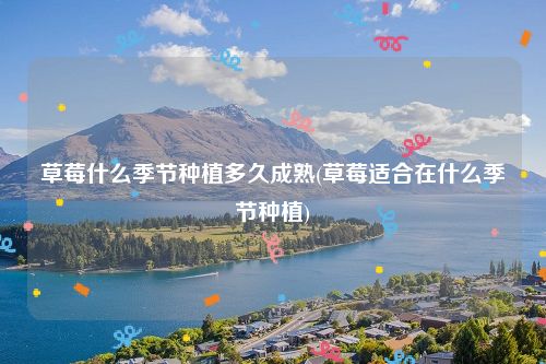 草莓什么季节种植多久成熟(草莓适合在什么季节种植)