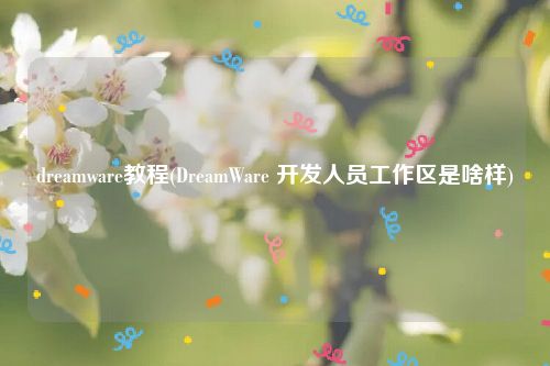 dreamware教程(DreamWare 开发人员工作区是啥样)