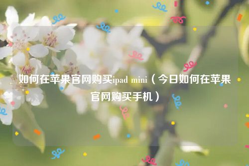 如何在苹果官网购买ipad mini(今日如何在苹果官网购买手机)