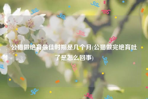公猫做绝育最佳时期是几个月(公猫做完绝育吐了是怎么回事)