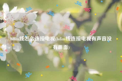 hdim线怎么连接电视(hdim线连接电视有声音没有画面)