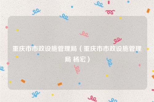 重庆市市政设施管理局(重庆市市政设施管理局 杨宏)