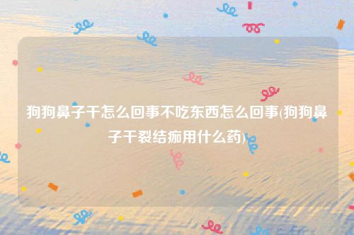 狗狗鼻子干怎么回事不吃东西怎么回事(狗狗鼻子干裂结痂用什么药)