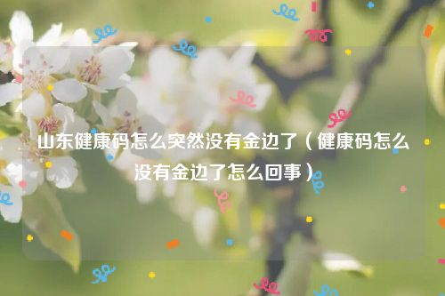 山东健康码怎么突然没有金边了(健康码怎么没有金边了怎么回事)