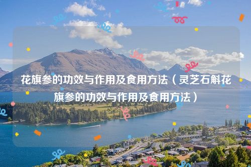 花旗参的功效与作用及食用方法（灵芝石斛花旗参的功效与作用及食用方法）