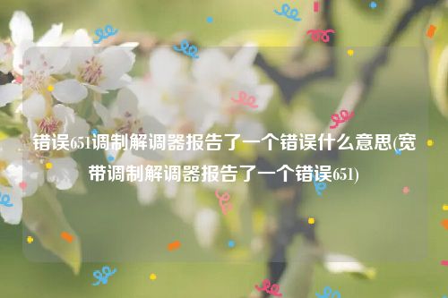错误651调制解调器报告了一个错误什么意思(宽带调制解调器报告了一个错误651)