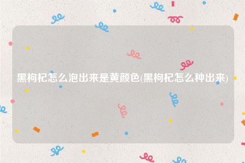 黑枸杞怎么泡出来是黄颜色(黑枸杞怎么种出来)