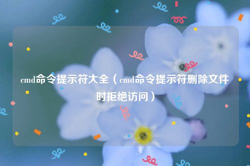 cmd命令提示符大全（cmd命令提示符删除文件时拒绝访问）