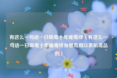 有这么一句话一日吸毒十年戒毒终（有这么一句话一日吸毒十年戒毒终身想毒用以表明毒品的）