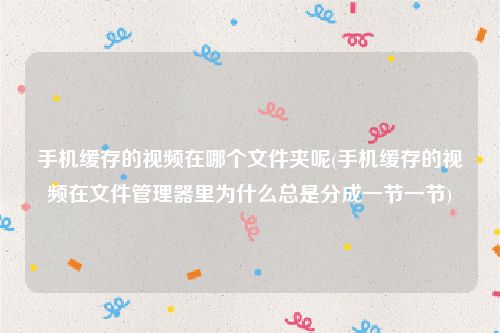 手机缓存的视频在哪个文件夹呢(手机缓存的视频在文件管理器里为什么总是分成一节一节)