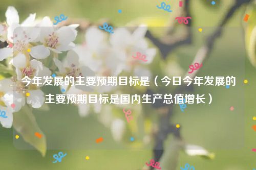 今年发展的主要预期目标是(今日今年发展的主要预期目标是国内生产总值增长)
