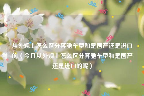从外观上怎么区分奔驰车型和是国产还是进口的（今日从外观上怎么区分奔驰车型和是国产还是进口的呢）