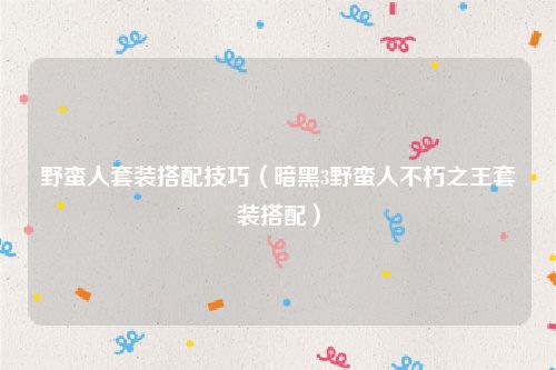 野蛮人套装搭配技巧(暗黑3野蛮人不朽之王套装搭配)