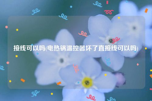 接线可以吗(电热锅温控器坏了直接线可以吗)