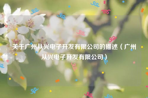 关于广州从兴电子开发有限公司的描述（广州从兴电子开发有限公司）