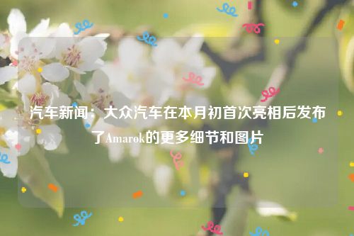 汽车新闻:大众汽车在本月初首次亮相后发布了Amarok的更多细节和图片
