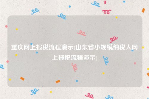 重庆网上报税流程演示(山东省小规模纳税人网上报税流程演示)