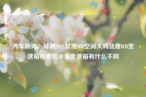 汽车新闻:评测2021款唐DM空间大吗及唐DM变速箱和唐燃油版变速箱有什么不同