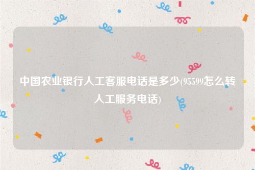 中国农业银行人工客服电话是多少(95599怎么转人工服务电话)