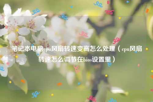 笔记本电脑cpu风扇转速变高怎么处理(cpu风扇转速怎么调节在bios设置里)
