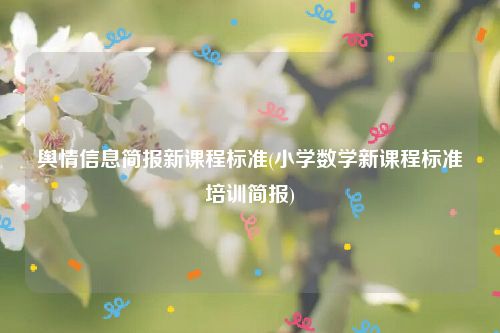 舆情信息简报新课程标准(小学数学新课程标准培训简报)