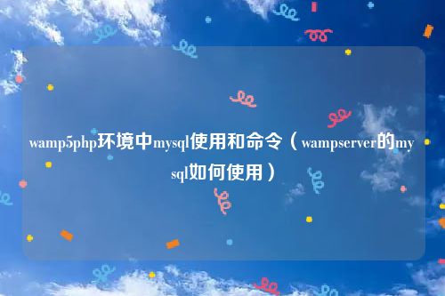 wamp5php环境中mysql使用和命令(wampserver的mysql如何使用)