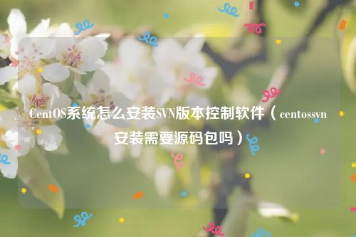 CentOS系统怎么安装SVN版本控制软件(centossvn安装需要源码包吗)