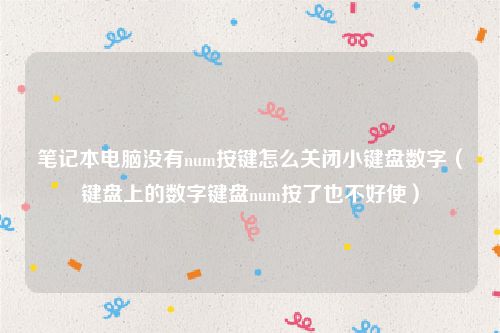 笔记本电脑没有num按键怎么关闭小键盘数字（键盘上的数字键盘num按了也不好使）