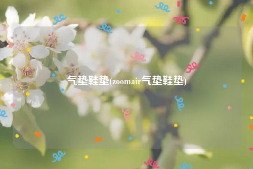 气垫鞋垫(zoomair气垫鞋垫)