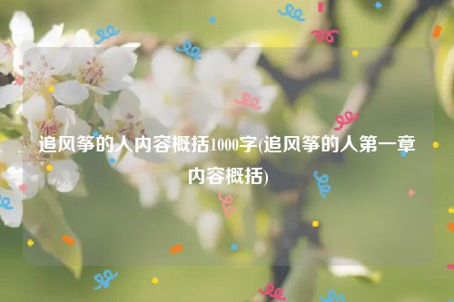 追风筝的人内容概括1000字(追风筝的人第一章内容概括)