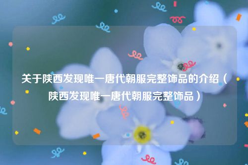 关于陕西发现唯一唐代朝服完整饰品的介绍（陕西发现唯一唐代朝服完整饰品）