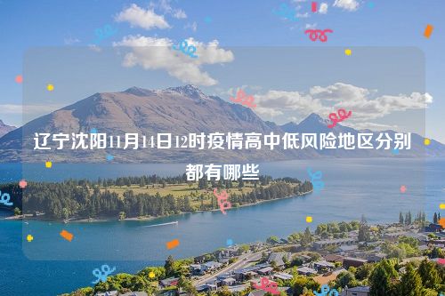 辽宁沈阳11月14日12时疫情高中低风险地区分别都有哪些