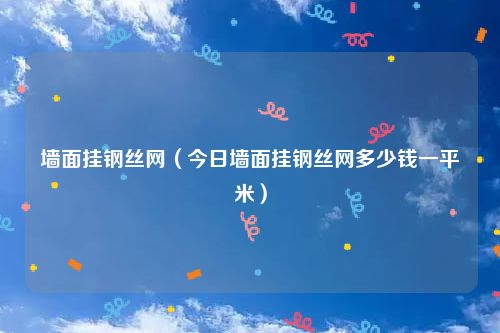 墙面挂钢丝网（今日墙面挂钢丝网多少钱一平米）