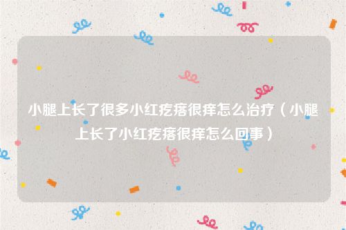 小腿上长了很多小红疙瘩很痒怎么治疗(小腿上长了小红疙瘩很痒怎么回事)