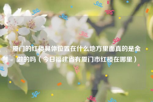 厦门的红楼具体位置在什么地方里面真的是金做的吗(今日福建省有厦门市红楼在哪里)