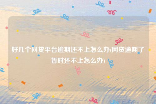 好几个网贷平台逾期还不上怎么办(网贷逾期了暂时还不上怎么办)