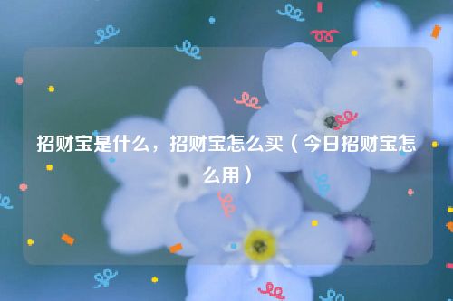 招财宝是什么，招财宝怎么买（今日招财宝怎么用）