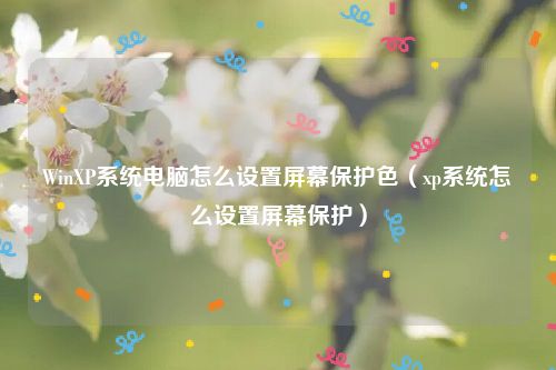 WinXP系统电脑怎么设置屏幕保护色（xp系统怎么设置屏幕保护）