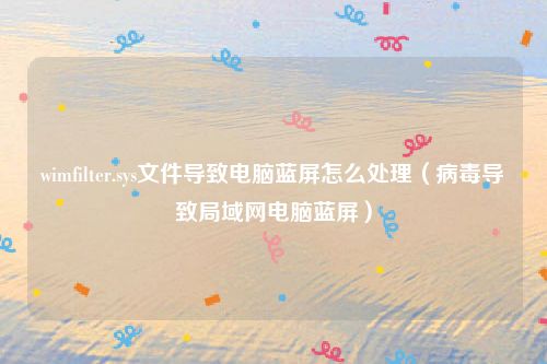 wimfilter.sys文件导致电脑蓝屏怎么处理(病毒导致局域网电脑蓝屏)