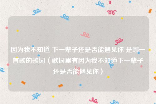 因为我不知道 下一辈子还是否能遇见你 是哪一首歌的歌词（歌词里有因为我不知道下一辈子还是否能遇见你）