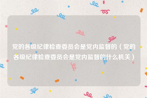 党的各级纪律检查委员会是党内监督的(党的各级纪律检查委员会是党内监督的什么机关)