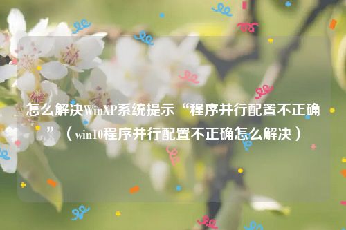 怎么解决WinXP系统提示“程序并行配置不正确”(win10程序并行配置不正确怎么解决)