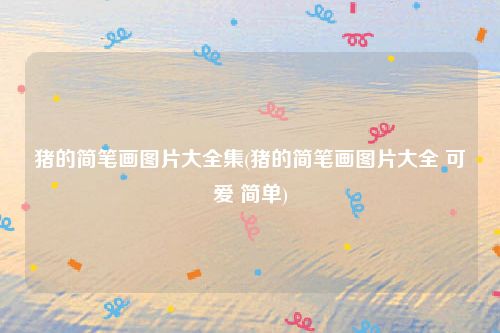 猪的简笔画图片大全集(猪的简笔画图片大全 可爱 简单)